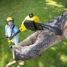 Lawn Pest Prevention in Freer, TX